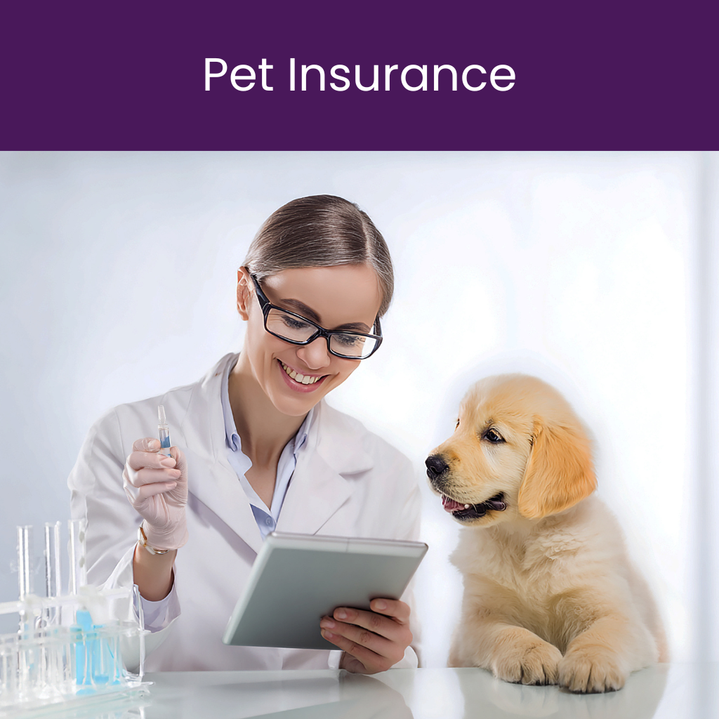 lady with her pet looking at cheaper pet insurance quotes on wetrust.co.uk
